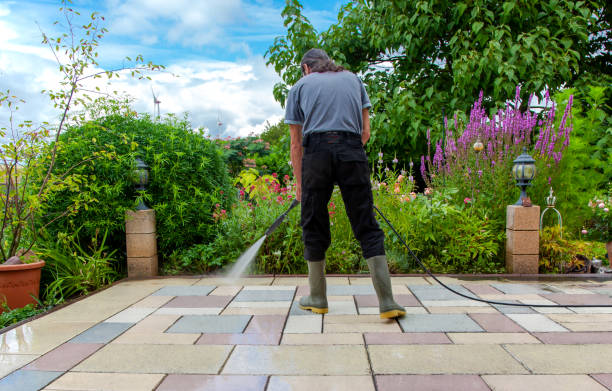 Best Animal Enclosure Cleaning  in Town And Country, WA